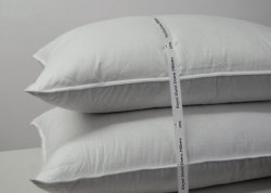 ROYAL HOTEL’S DOWN PILLOW