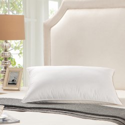 EGYPTIAN BEDDING 100% GOOSE DOWN PILLOW