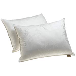 Dream Supreme Plus Gel Fiber-Filled Pillows