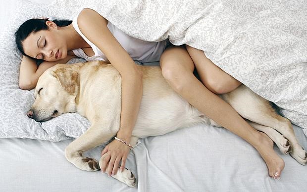 Hug dog